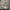 floral wallpaper, wallpaper inspiration, decorating with floral, floral decor, resene