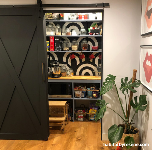 Pantry, Mural, Black and White, Kitchen Renovation, Monochromatic, Barn Door, Resene