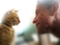 Illustrator Malcolm White renders a unique career path