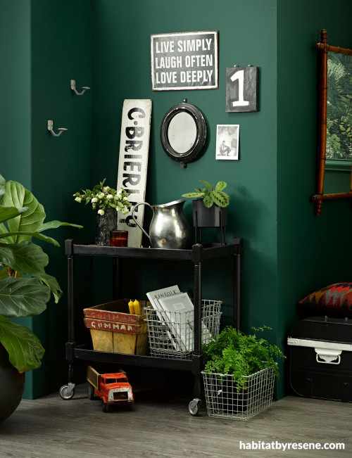 green wall Resene Family Tree