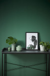 Great green ideas to transform your home into an indoor oasis 
